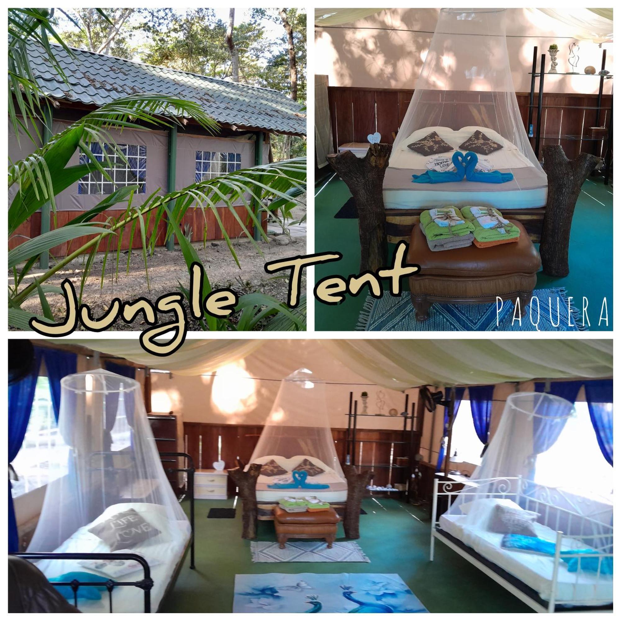 Hotel Fully Furnished Family Jungle Tent, Latino Glamping Paquera Exterior foto